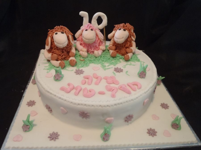 עוגת יום הולדת בנות הכיבשה ניקי