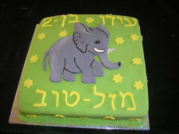 עוגת שוקולד ליום הולדת פיל מעוצב
